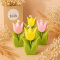 Vela tulipan