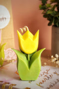 Vela tulipan